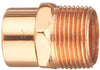 ADAPTER 1 COPPER MALE