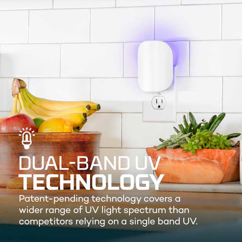 NEBO Flying Insect Trap Starter Kit