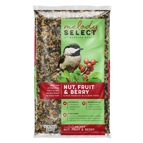 Melody Select Nut, Fruit & Berry Wild Bird Food