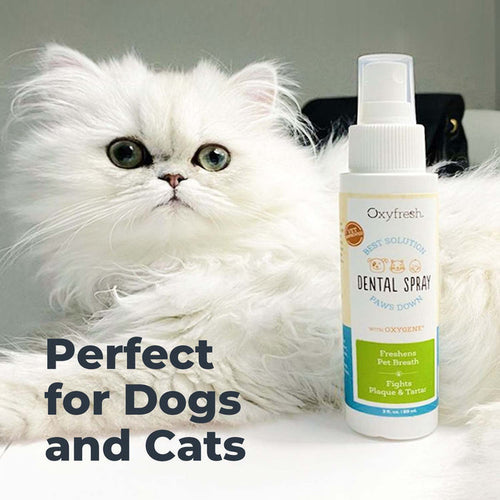 Oxyfresh Premium Pet Dental Spray - Fastest Way to Eliminate Pet Bad Breath