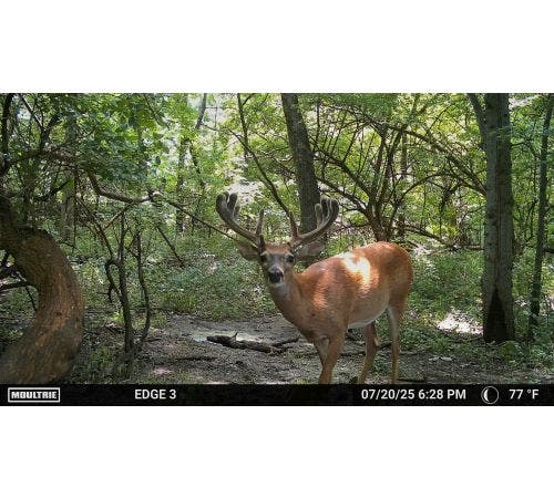 Moultrie Edge 3 Cellular Camera 2 Pack