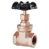 LDR Industries IPS Gate Valve 1/2