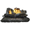 Fireplace Log Set With Remote, Natrual or LP Gas, Vent-Free, 33,000-BTU, 24-In.