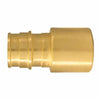 Apollo 3/4 in. Brass PEX-A Barb x 3/4 in. Female Sweat Adapter