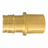 Apollo 1 in. Brass PEX-A Barb x 1 in. Male Sweat Adapter