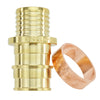 Apollo PEX-A Couplings 3/4 in. PEX x 3/4 in. PB