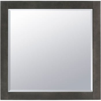 Hardware House 292430 29-2430 Gray 24x30 Mirror